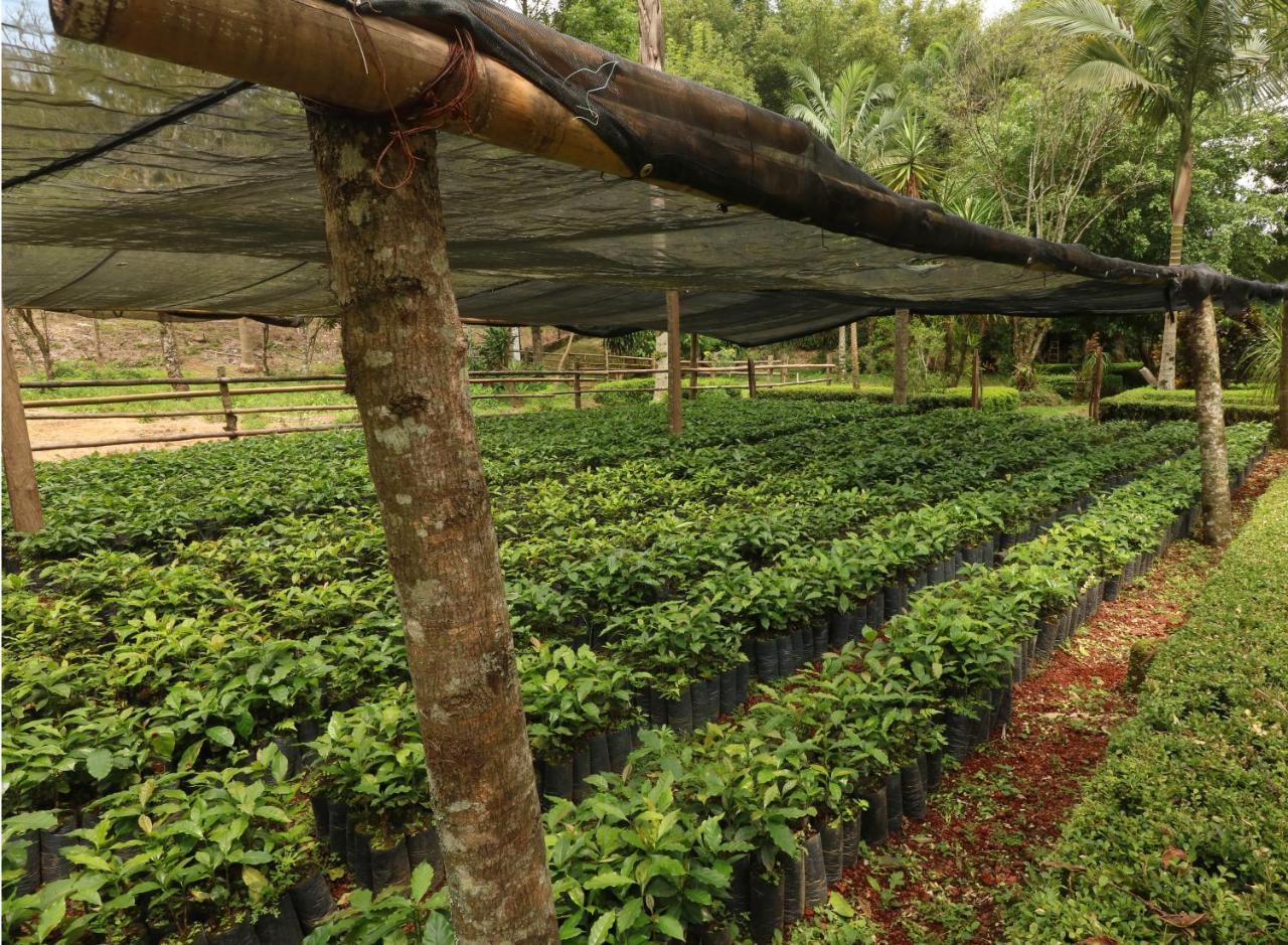 Mision Los Cocuyos Alta Montana Huatusco Ngoại thất bức ảnh